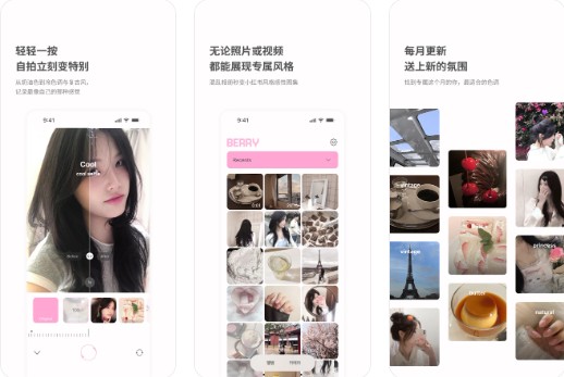 Berry��Ƭ����ƽ��